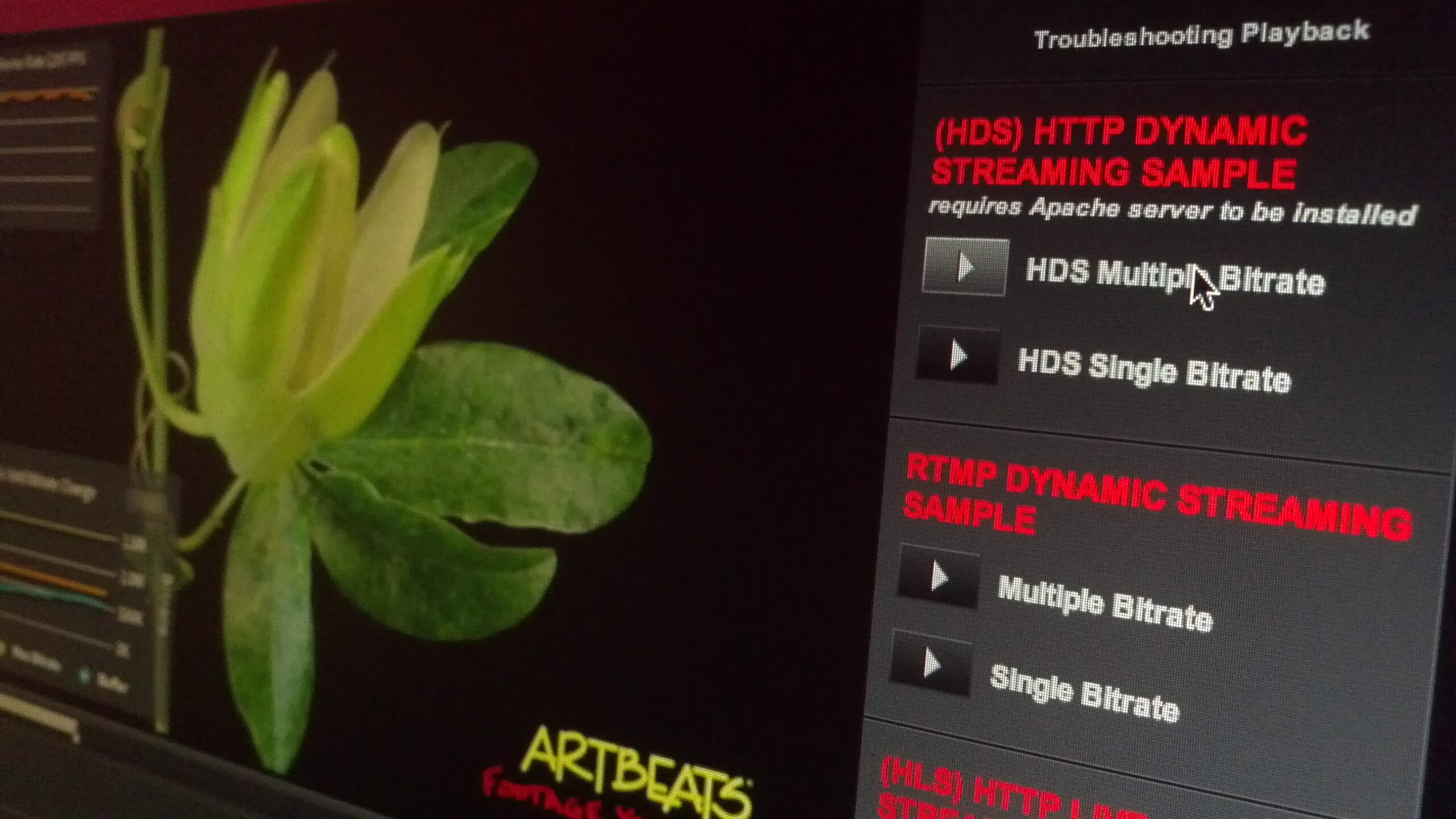 HLS vs. HDS - What Is the Difference and Why You Should Care