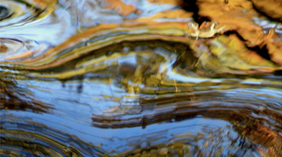 Best Practices & Guidelines for In Stream Video Ads