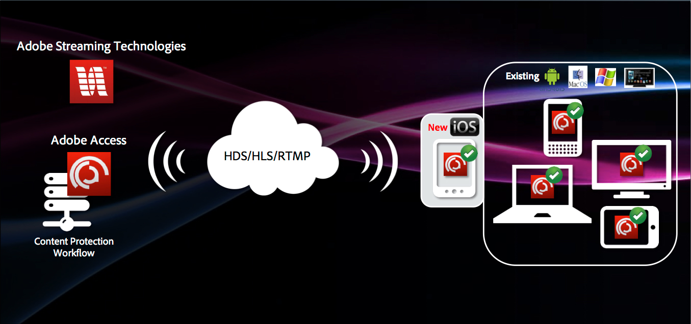 Adobe Access – A Single DRM Workflow